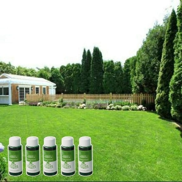 🎁Last day half price sale!🎁🔥GreenRevive HydroSeeding Lawn Solution